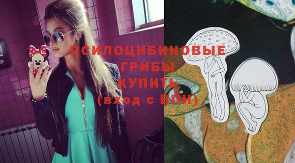 не бодяженный Алзамай