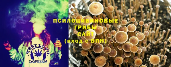 не бодяженный Алзамай