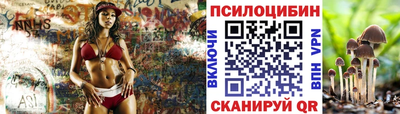 Псилоцибиновые грибы Cubensis  Нурлат 